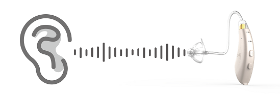 download (4).png