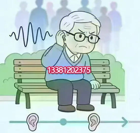 耳朵和大脑之间是怎么合作的？
